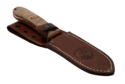 Condor Tactical P.A.S.S. Chute Knife, Feststehendes Messer -Wild Hauer Verkäufe CTK1827 105 4C 06 condor scaled