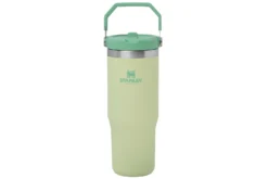 Stanley The IceFlow Flip Straw Tumbler, 10-09993-197, Citron, Trinkflasche, 890 Ml