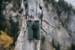 Swarovski EL Range 10x42 TA Fernglas MitTracking Asisstant -Wild Hauer Verkäufe SW EL RANGE 10x42 TA 05 swarovski el range stock scaled